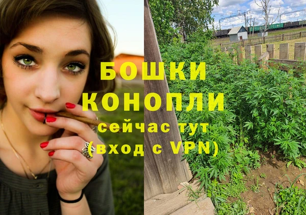 ешки Дмитров