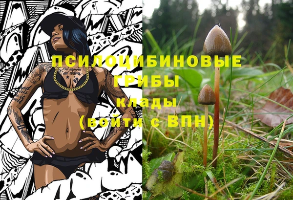 ешки Дмитров